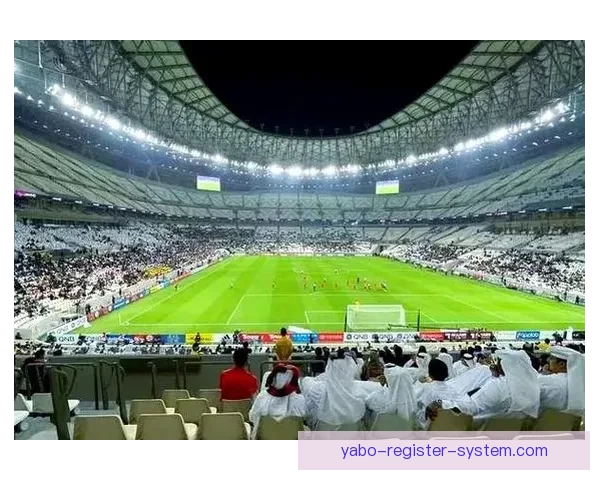 聚焦2026世界杯比赛场地布局与城市发展机遇全景深度解析研究